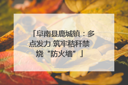 阜南县鹿城镇：多点发力 筑牢秸秆禁烧“防火墙”