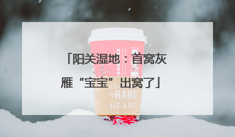 阳关湿地：首窝灰雁“宝宝”出窝了