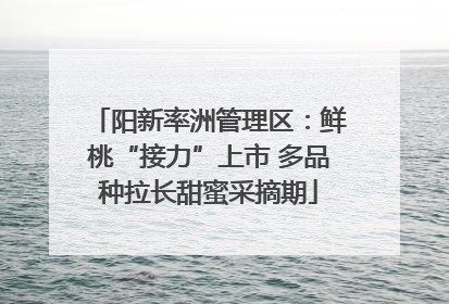 阳新率洲管理区：鲜桃“接力”上市 多品种拉长甜蜜采摘期