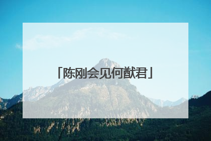 陈刚会见何猷君