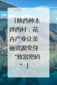 陕西神木铧西村：花卉产业让美丽资源变身“致富密码”
