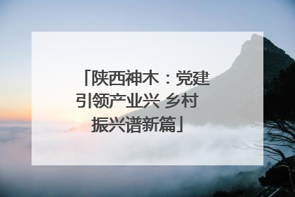 陕西神木：党建引领产业兴 乡村振兴谱新篇