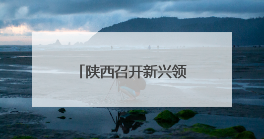 陕西召开新兴领域“党建带工建 工建服务党建”现场交流推进会