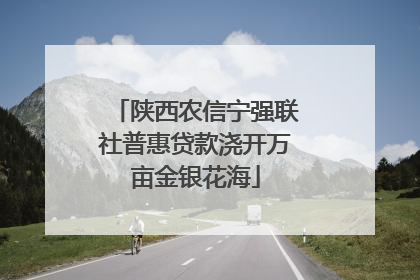 陕西农信宁强联社普惠贷款浇开万亩金银花海