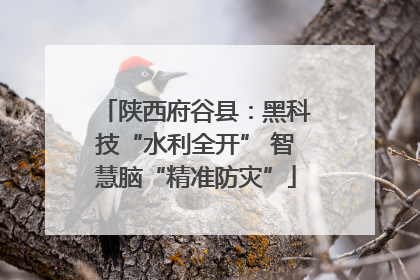 陕西府谷县：黑科技“水利全开” 智慧脑“精准防灾”