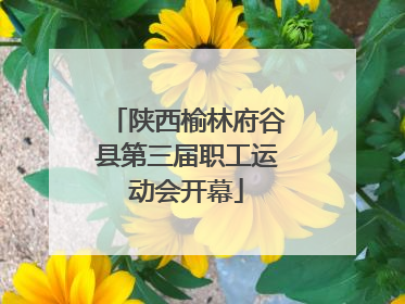 陕西榆林府谷县第三届职工运动会开幕