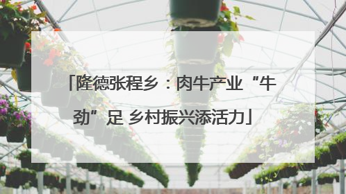 隆德张程乡：肉牛产业“牛劲”足 乡村振兴添活力