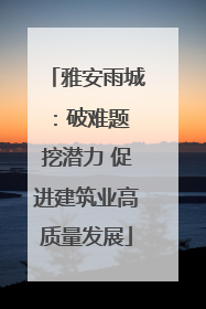 雅安雨城：破难题 挖潜力 促进建筑业高质量发展