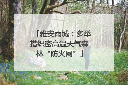 雅安雨城：多举措织密高温天气森林“防火网”