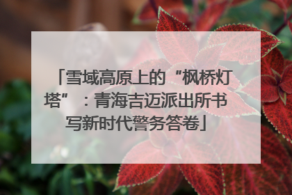 雪域高原上的“枫桥灯塔”：青海吉迈派出所书写新时代警务答卷