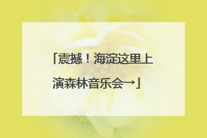 震撼！海淀这里上演森林音乐会→