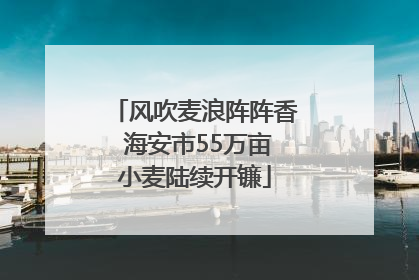 风吹麦浪阵阵香 海安市55万亩小麦陆续开镰