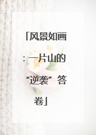 风景如画：一片山的“逆袭”答卷