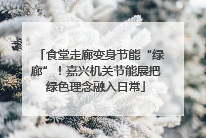 食堂走廊变身节能“绿廊”！嘉兴机关节能展把绿色理念融入日常
