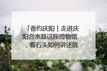 香约庆阳｜走进庆阳合水县这座博物馆，看石头如何讲述陇东千年历史