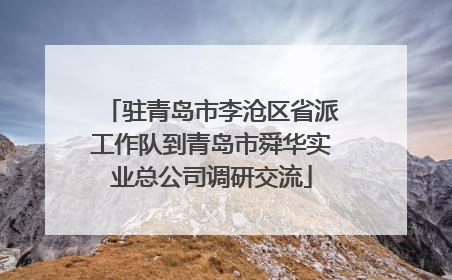 驻青岛市李沧区省派工作队到青岛市舜华实业总公司调研交流