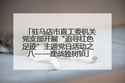 驻马店市直工委机关党支部开展“追寻红色足迹”主题党日活动之八——鏖战独树镇