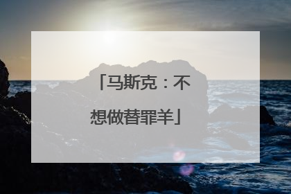马斯克：不想做替罪羊