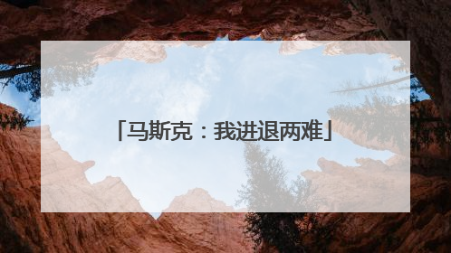 马斯克：我进退两难