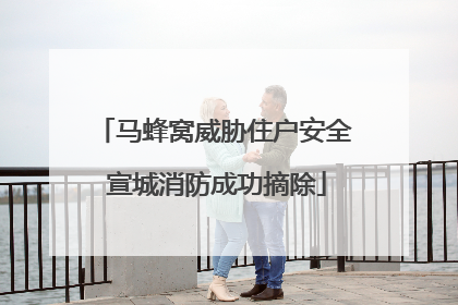 马蜂窝威胁住户安全 宣城消防成功摘除