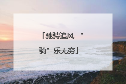 驰骋追风 “骑”乐无穷