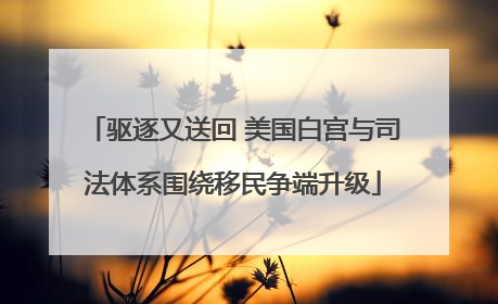 驱逐又送回 美国白宫与司法体系围绕移民争端升级