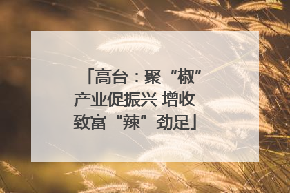 高台：聚“椒”产业促振兴 增收致富“辣”劲足