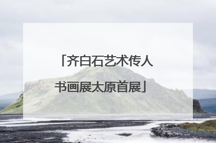 齐白石艺术传人书画展太原首展