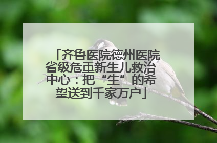 齐鲁医院德州医院省级危重新生儿救治中心：把“生”的希望送到千家万户