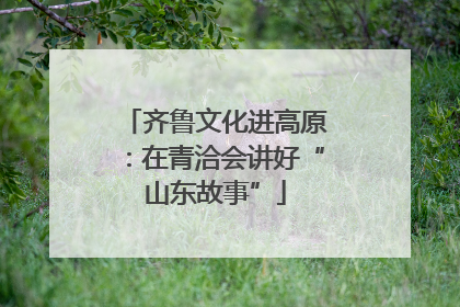 齐鲁文化进高原：在青洽会讲好“山东故事”