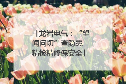 龙岩电气：“望闻问切”查隐患 精检精修保安全