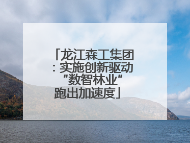龙江森工集团：实施创新驱动 “数智林业”跑出加速度