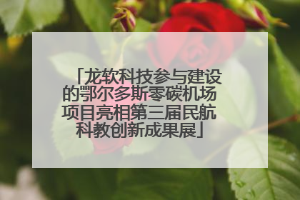 龙软科技参与建设的鄂尔多斯零碳机场项目亮相第三届民航科教创新成果展