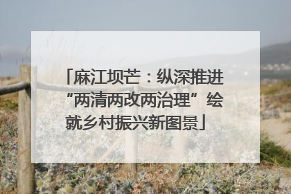 麻江坝芒：纵深推进“两清两改两治理”绘就乡村振兴新图景