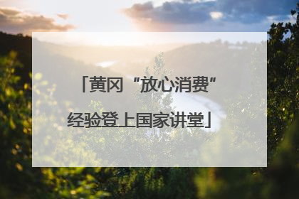 黄冈“放心消费”经验登上国家讲堂