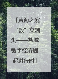 黄海之滨“数”立潮头——盐城数字经济崛起进行时