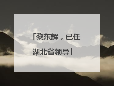 黎东辉，已任湖北省领导