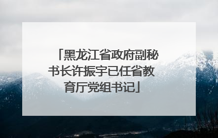 黑龙江省政府副秘书长许振宇已任省教育厅党组书记