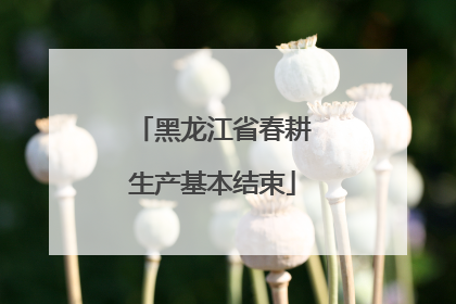 黑龙江省春耕生产基本结束