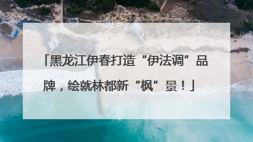 黑龙江伊春打造“伊法调”品牌，绘就林都新“枫”景！