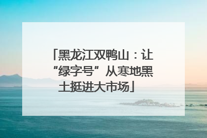 黑龙江双鸭山：让“绿字号”从寒地黑土挺进大市场