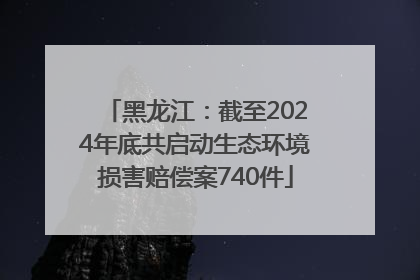 黑龙江：截至2024年底共启动生态环境损害赔偿案740件