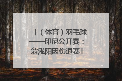 （体育）羽毛球——印尼公开赛：翁泓阳因伤退赛