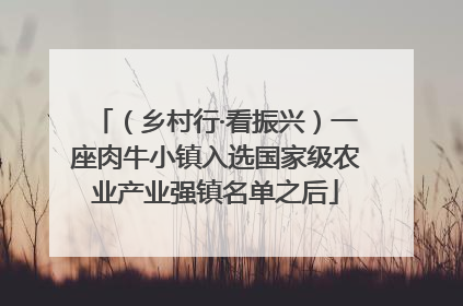 （乡村行·看振兴）一座肉牛小镇入选国家级农业产业强镇名单之后