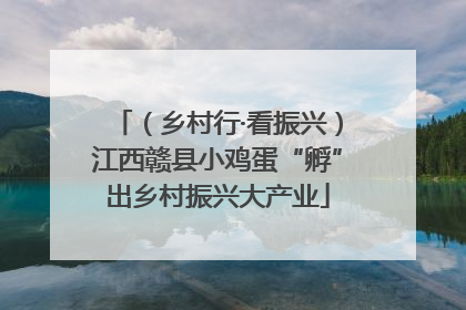 （乡村行·看振兴）江西赣县小鸡蛋“孵”出乡村振兴大产业