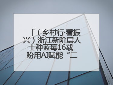 （乡村行·看振兴）浙江新阶层人士种蓝莓16载 盼用AI赋能“二次创业”