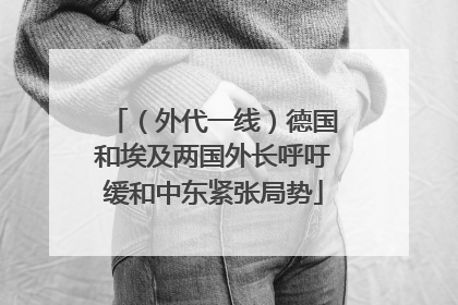（外代一线）德国和埃及两国外长呼吁缓和中东紧张局势