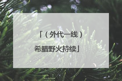 （外代一线）希腊野火持续