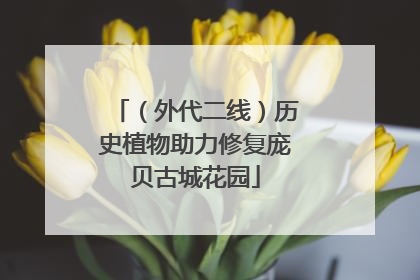 （外代二线）历史植物助力修复庞贝古城花园