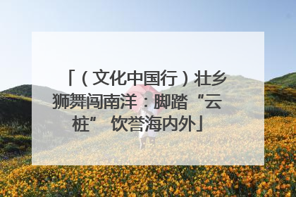 （文化中国行）壮乡狮舞闯南洋：脚踏“云桩” 饮誉海内外